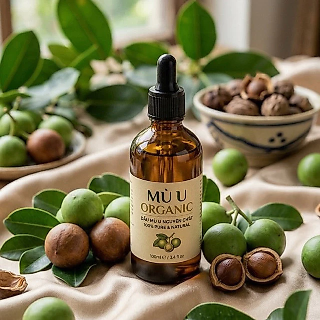 Dầu mù u xanh nguyên chất