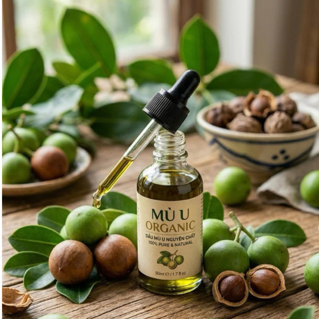 Dầu mù u xanh nguyên chất trong bộ ảnh Hiltown